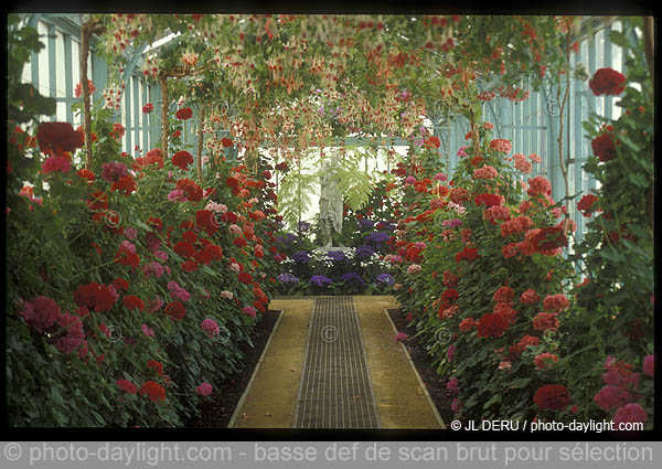 serres royales de Laeken (Bruxelles)
Royal Greenhouses of Laeken (Brussels)